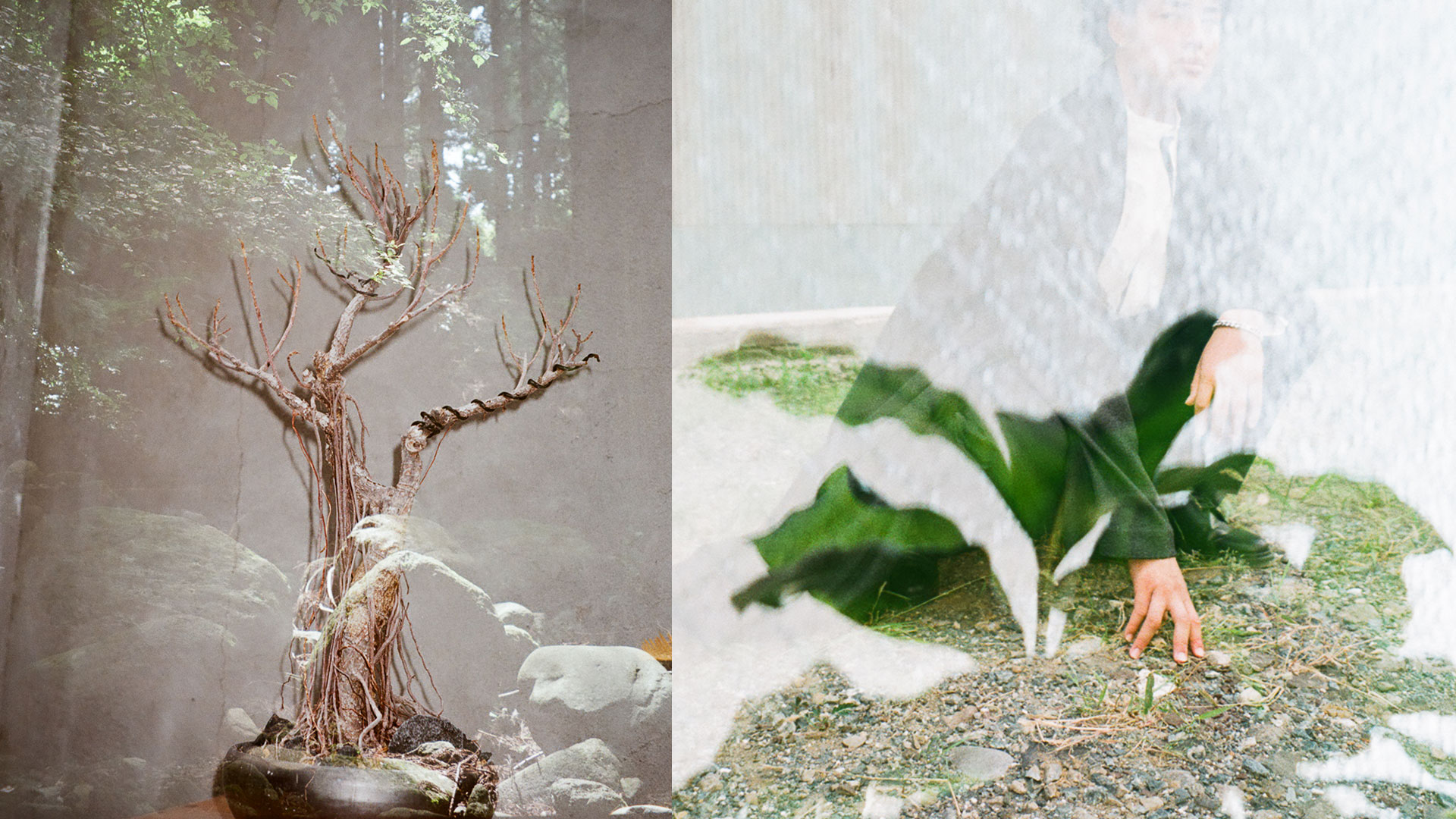 20240929_5Fstudio 453_slide